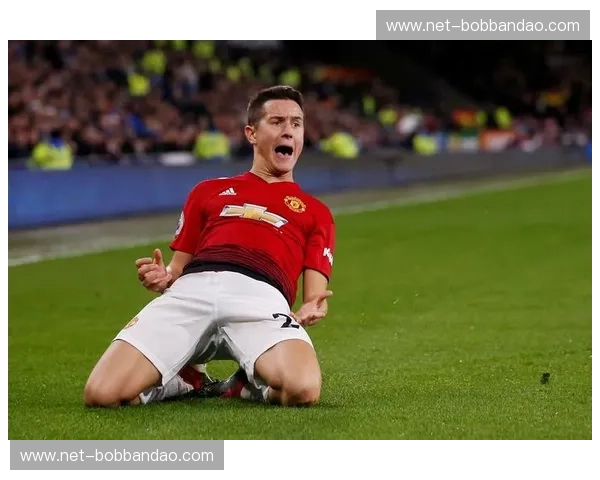 威尔士孤勇之战：卡迪夫城能否掀翻红魔曼联？