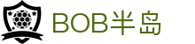 半岛bob综合（中国）官方网站 | 全球赛事直播与实时赔率,数据准确